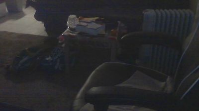 pussaddicte webcam model stream image