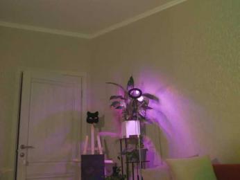 KOTTYAA webcam model stream image