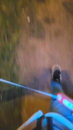 tomsauwer webcam model stream image