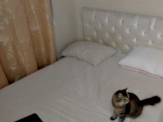 Melody Vixxen webcam model stream image
