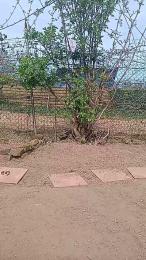 Francescaleo webcam model stream image