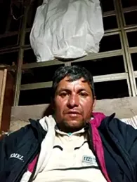 TattyFoxglove webcam model stream image