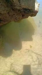 pregnanhot webcam model stream image