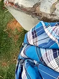 dolphiinn webcam model stream image