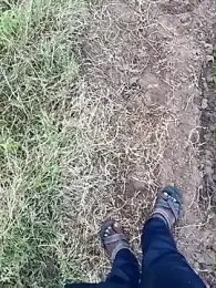 dolphiinn webcam model stream image