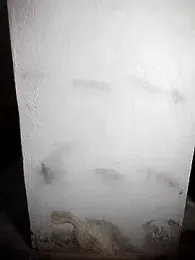 BD_228 webcam model stream image