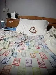 BD_228 webcam model stream image