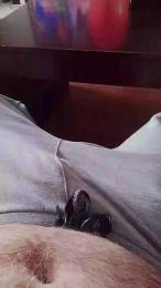 torcado47 webcam cam4 model stream image