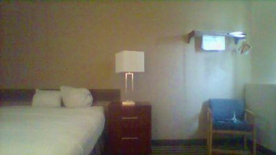 TonySpliff webcam model stream image