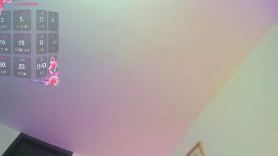 Piavenecia webcam model stream image