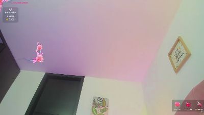 Piavenecia webcam model stream image
