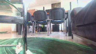 POLENLAIR webcam model stream image