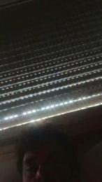 Giebi2 webcam model stream image