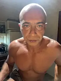 dogfrota webcam model stream image