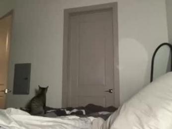 xoharperr webcam model stream image