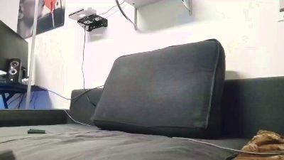 peet210 webcam model stream image