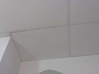 tiiphanii-walker1 webcam model stream image