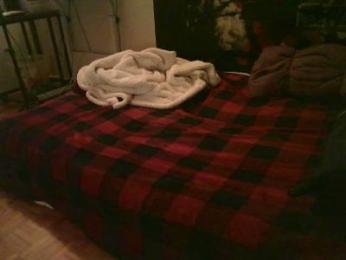 Alastis108 webcam model stream image