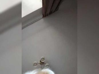 YulyaZefirka webcam model stream image
