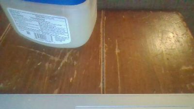 Silkworm_Piper webcam model stream image