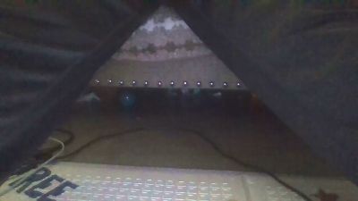 Silkworm_Piper webcam model stream image