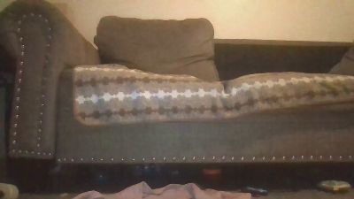 Silkworm_Piper webcam model stream image