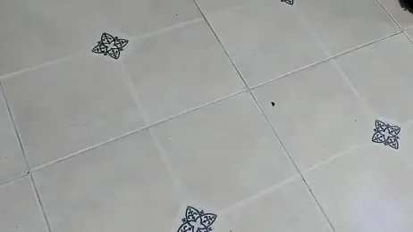 playsgirlhot webcam stripchat model stream image