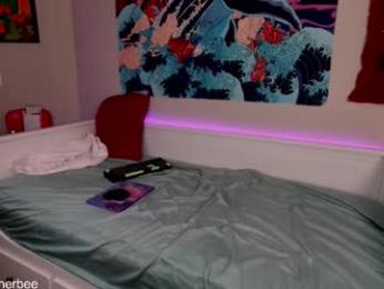 veeweatherbee webcam model stream image