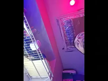 Mrkarizma webcam stripchat model stream image