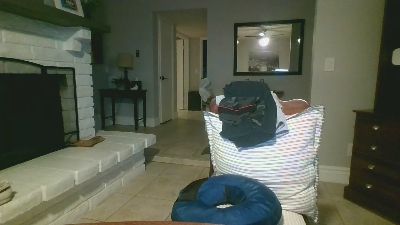 boreddad2023 webcam model stream image