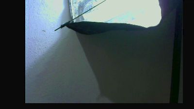 OchoaEider webcam model stream image