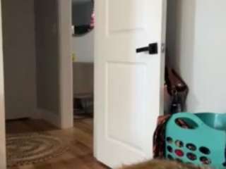 laylared webcam camsoda model stream image