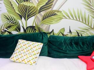 Spencer Roth webcam model stream image