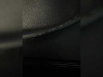 Ariel-la webcam model stream image