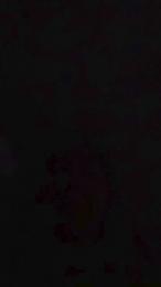 yo552 webcam model stream image