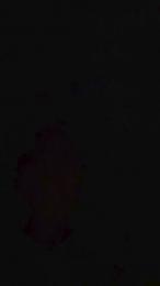 yo552 webcam model stream image