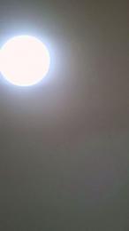 Gatitamadurita webcam model stream image