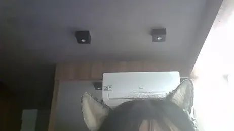 SkinnyKitten webcam stripchat model stream image