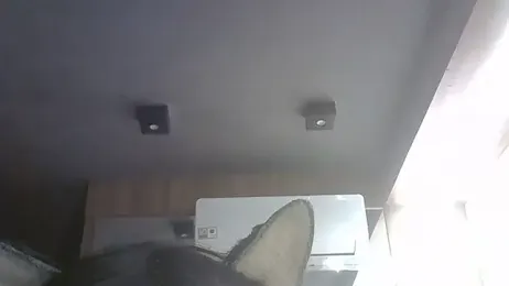 SkinnyKitten webcam model stream image