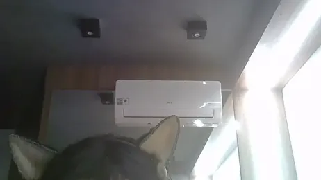 SkinnyKitten webcam model stream image