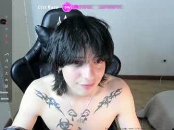 sai_l webcam model stream image