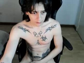 sai_l webcam model stream image