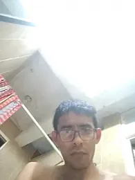 VL25DN26 webcam model stream image