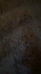 Devochka webcam model stream image
