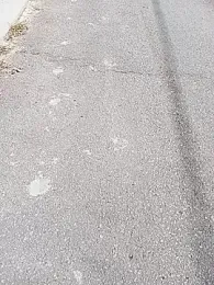 i_fatme webcam model stream image