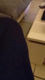 ctbi82 webcam model stream image