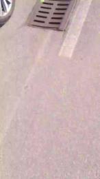 minex2 webcam model stream image