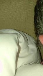 noicoppia71 webcam cam4 model stream image