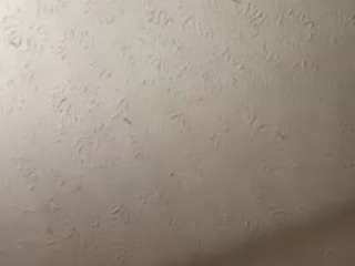 travisseitz88 webcam model stream image