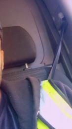 Bigdick95daddy webcam model stream image